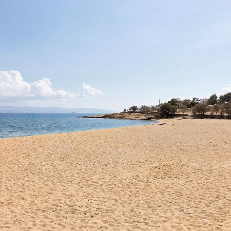 Villa San Dimitrio House On The Beach Logaras Dış mekan fotoğraf