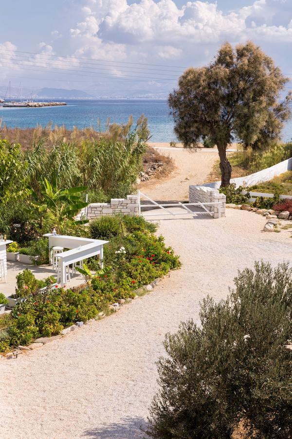 Villa San Dimitrio House On The Beach Logaras Dış mekan fotoğraf