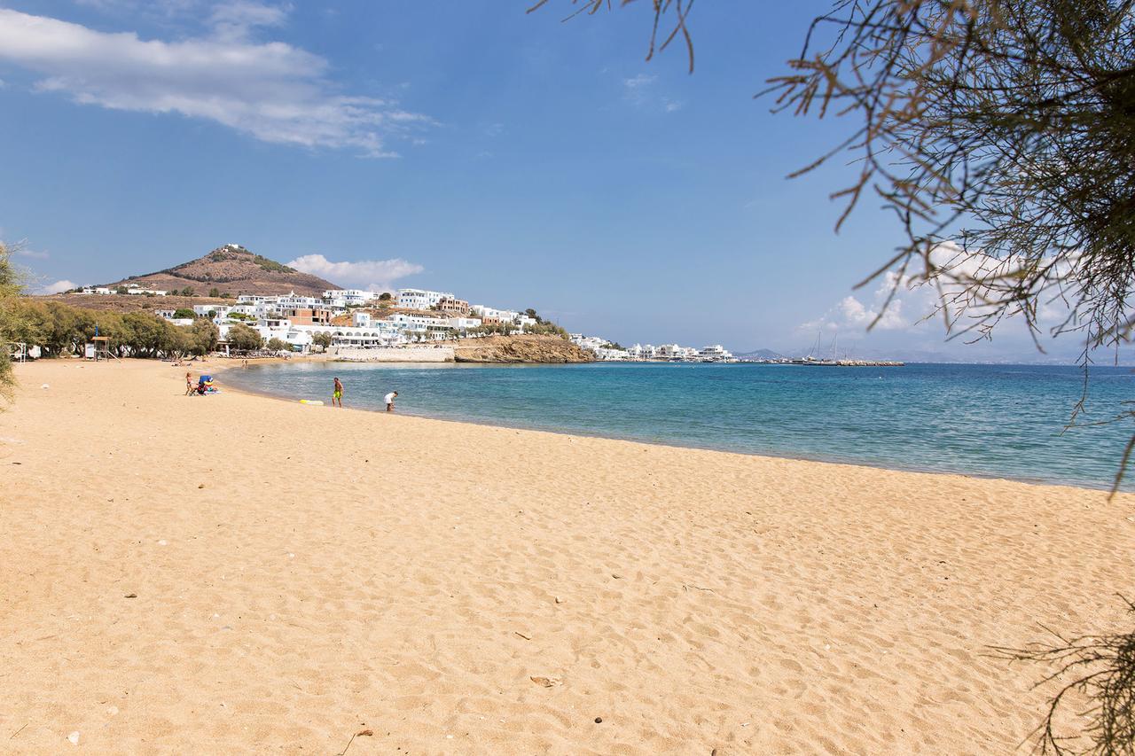 Villa San Dimitrio House On The Beach Logaras Dış mekan fotoğraf