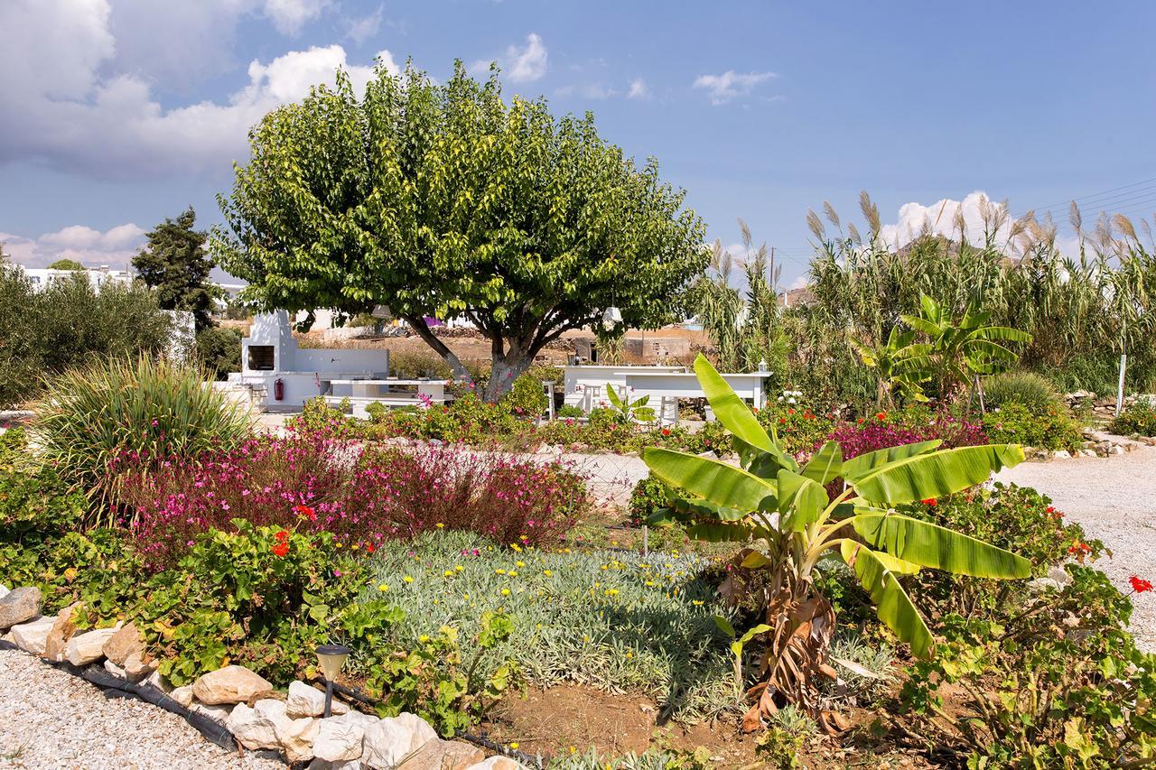 Villa San Dimitrio House On The Beach Logaras Dış mekan fotoğraf