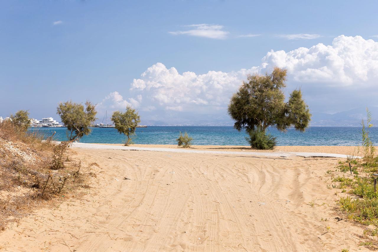 Villa San Dimitrio House On The Beach Logaras Dış mekan fotoğraf
