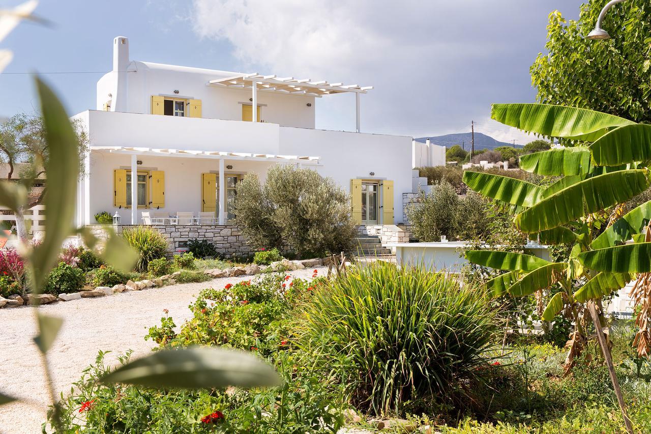 Villa San Dimitrio House On The Beach Logaras Dış mekan fotoğraf